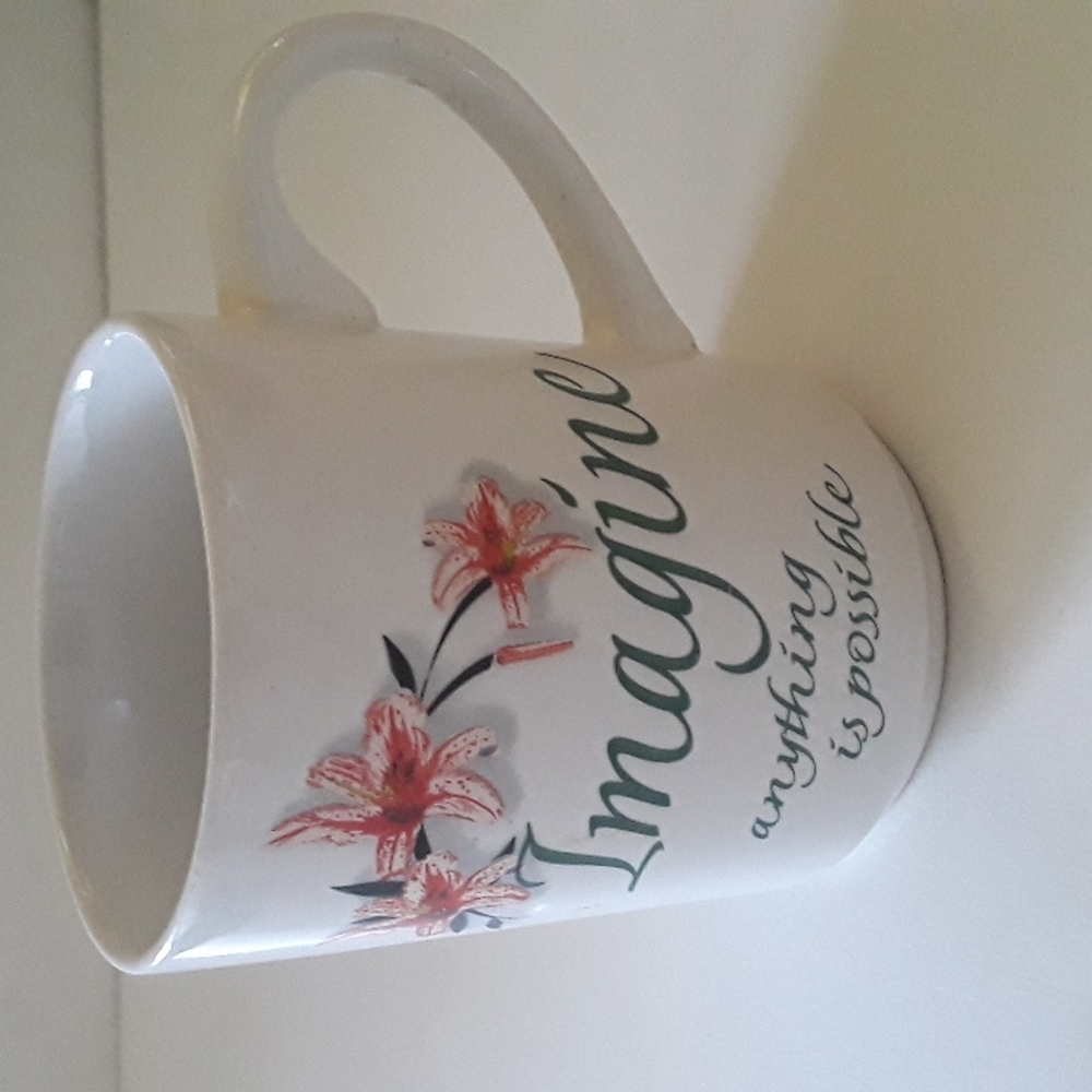 Imagine/Dream Bay Island Coffee Mug Red/Pink Floral Print